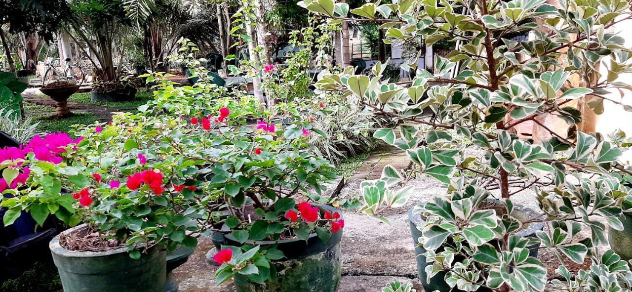 Hiriketiya Cinnamon Garden Dikwella Kültér fotó