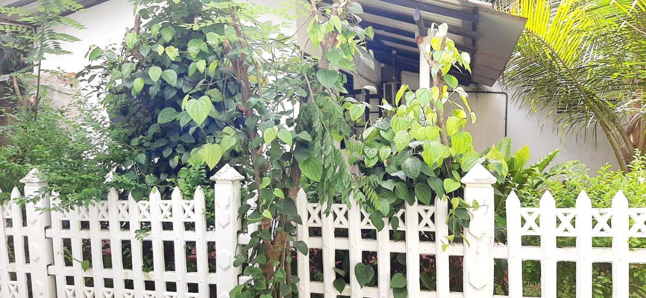 Hiriketiya Cinnamon Garden Dikwella Kültér fotó