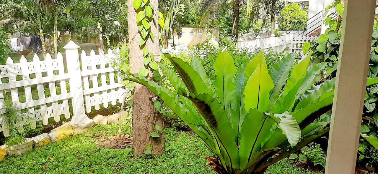 Hiriketiya Cinnamon Garden Dikwella Kültér fotó