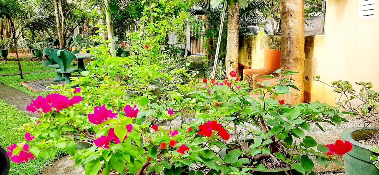 Hiriketiya Cinnamon Garden Dikwella Kültér fotó