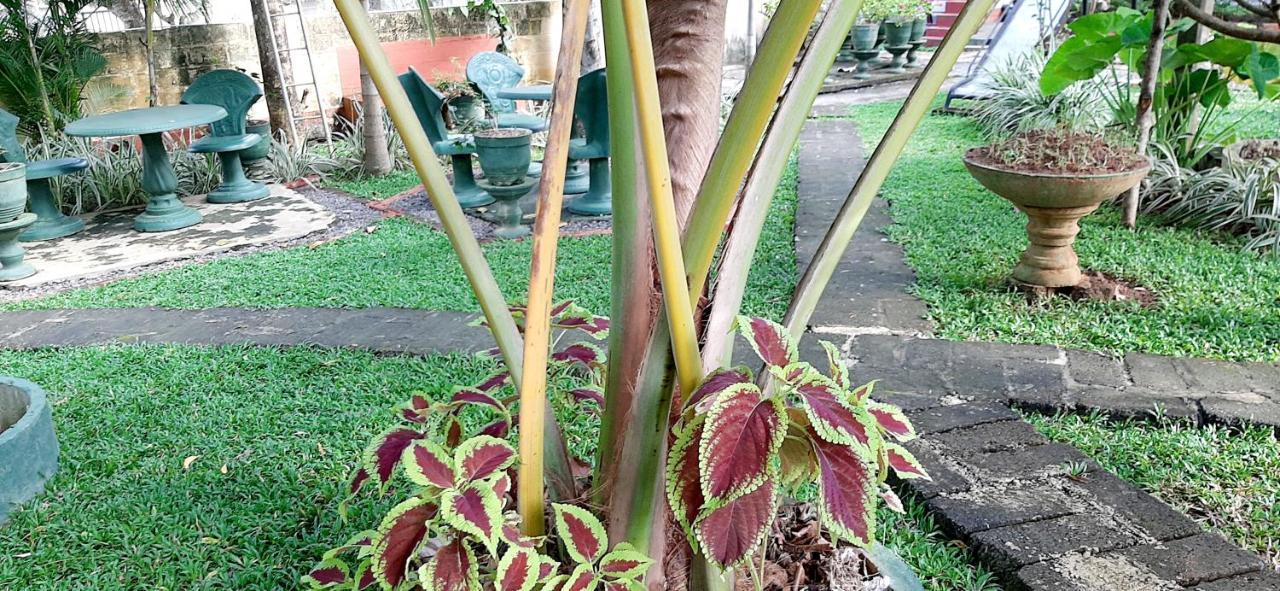 Hiriketiya Cinnamon Garden Dikwella Kültér fotó