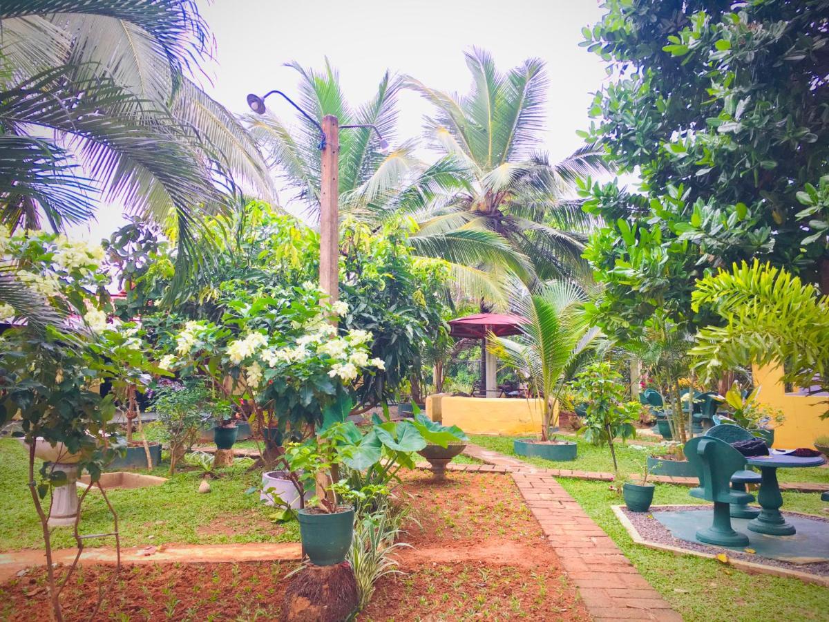 Hiriketiya Cinnamon Garden Dikwella Kültér fotó