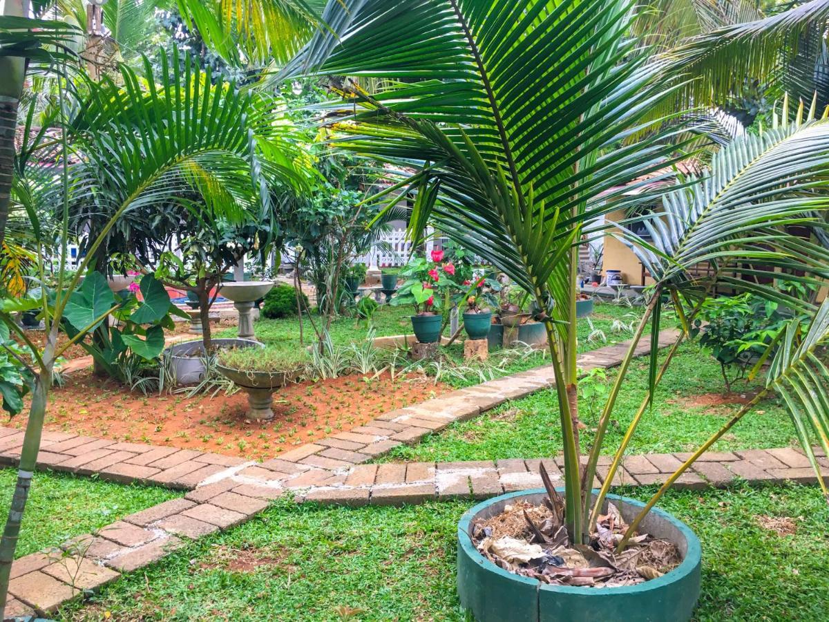 Hiriketiya Cinnamon Garden Dikwella Kültér fotó